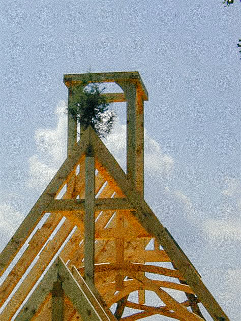 A tree on the top of a frame, indicating it has been Topped Out